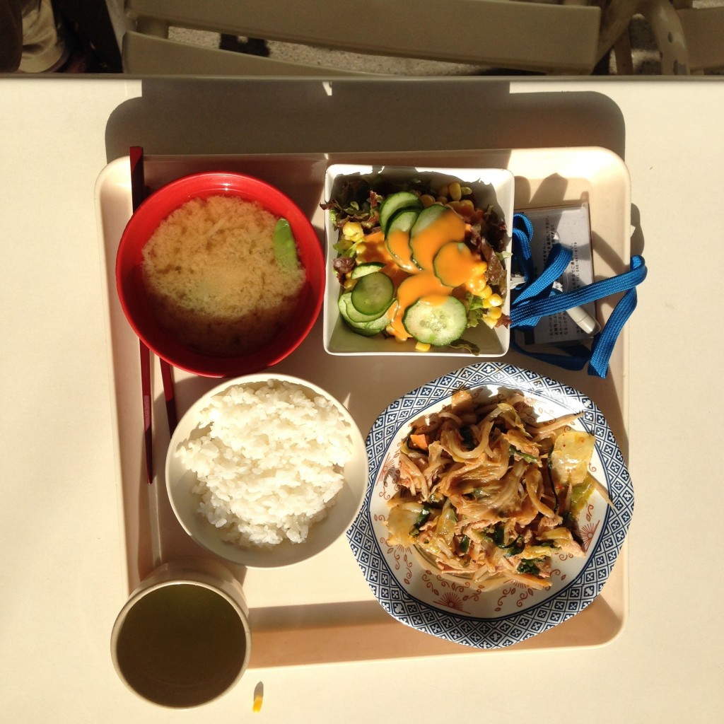 klassische Mahlzeit mit Reis, Misosuppe, Grüntee, Salat und gekochtem Schweinefleisch mit Gemüse